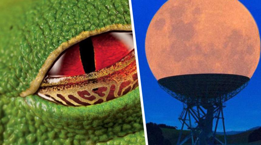 Gözlerinize inanamayacaksınız! Bu fotoğraflarda hiç hile yok!