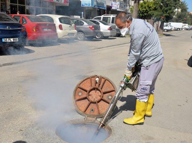 Mersin’de haşereyle mücadele çalışmaları hızlandı