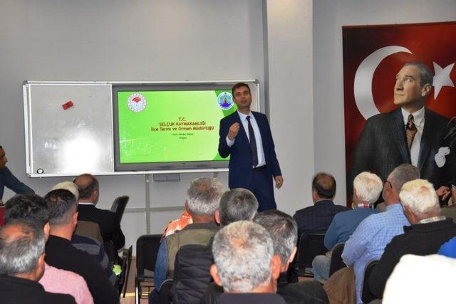 Antalya’nın avokadosu Selçuk’ta yetişecek