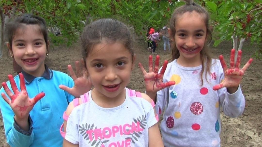 Dut hasadı şenlik ile başladı