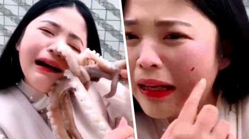 Suratına ahtapot yapıştı! Sonrası daha da ilginç