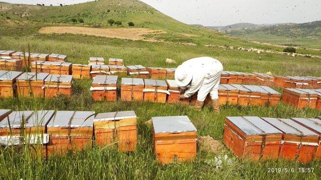 Gercüş’te çiftçilere arı kovanı dağıtıldı