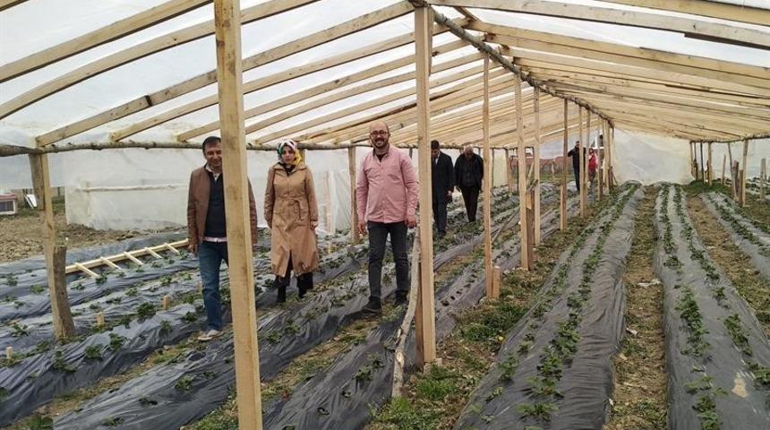 30 bin &ccedil;ilek fidesi toprakla buluştu