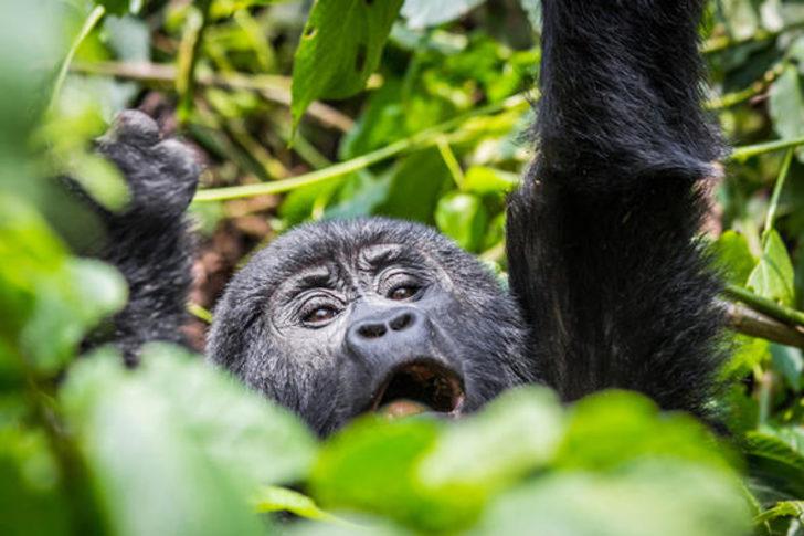 Dünyanın en güzel yerleri belli oldu! Türkiye'den bir yer listede  G2