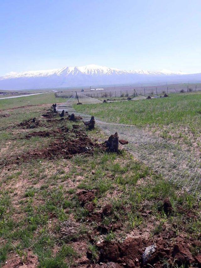 İşgal edilen arazilere kaymakamlık el koydu