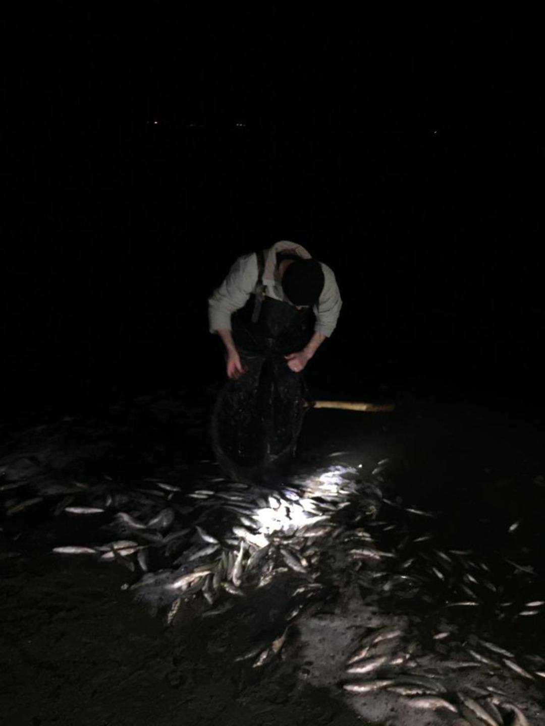 Van'da ka&ccedil;ak avlanan 1.9 ton inci kefali ele ge&ccedil;irildi