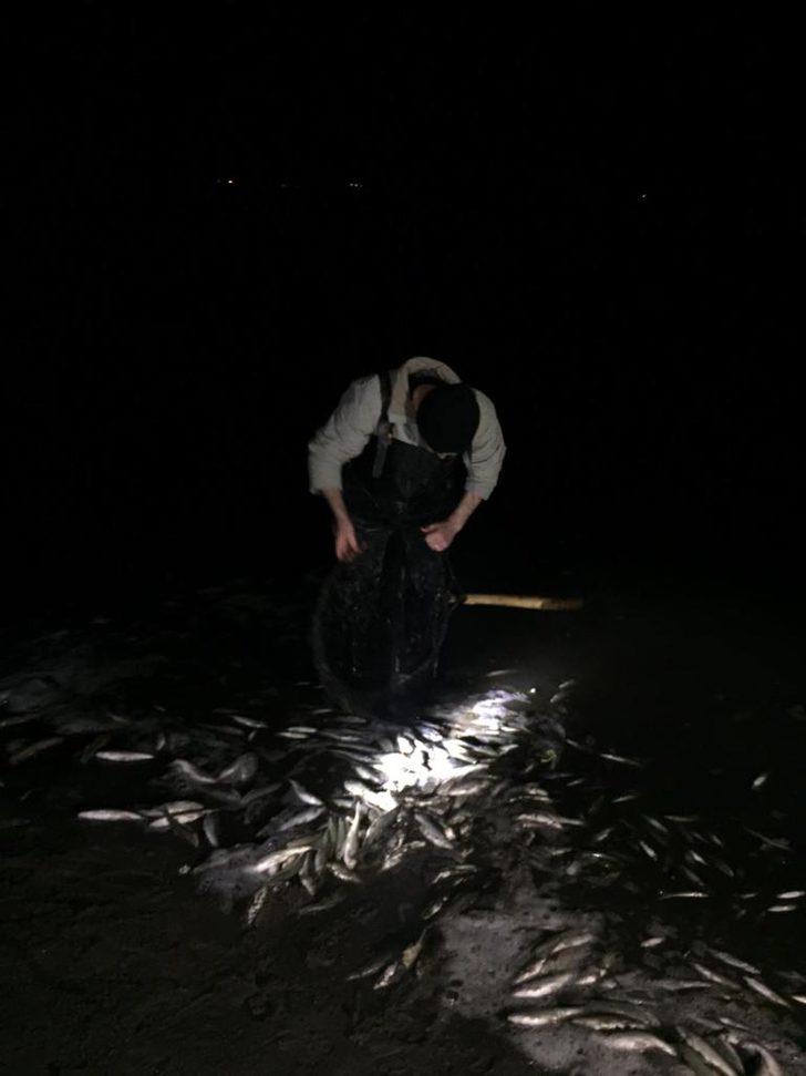 Van'da kaçak avlanan 1.9 ton inci kefali ele geçirildi G5