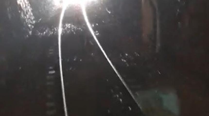 T&uuml;nele giren yaban ke&ccedil;ileri trenin altında kalmaktan son anda kurtuldu