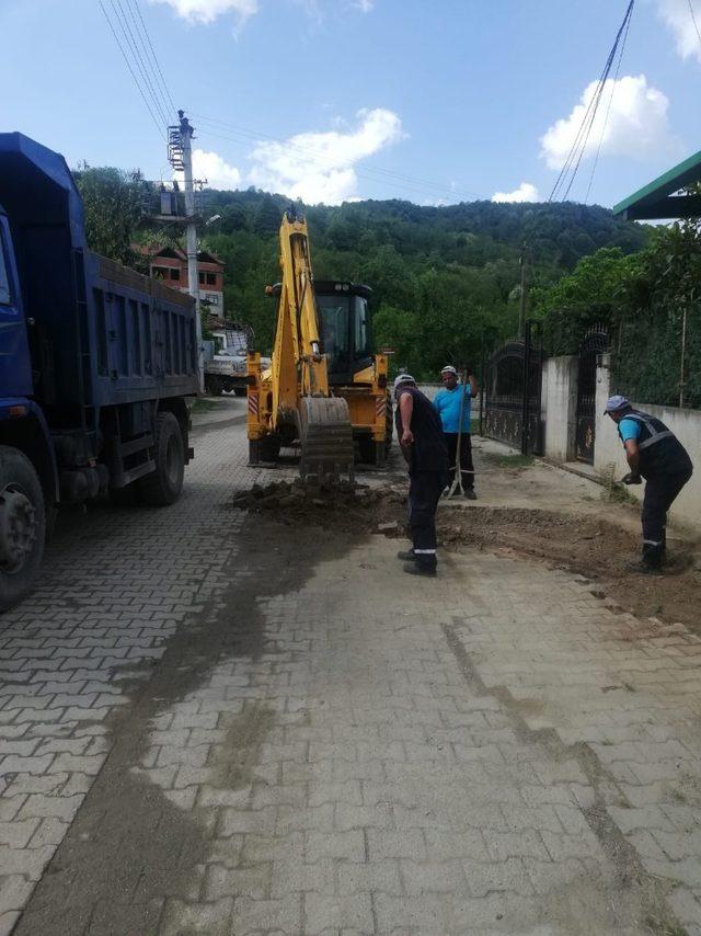 Sapanca’da çevre temizlik çalışmaları devam ediyor