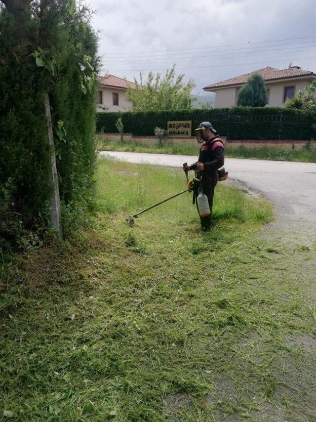 Sapanca’da çevre temizlik çalışmaları devam ediyor