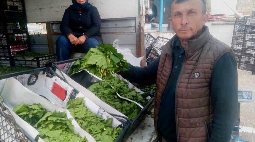 Asma yaprağının fiyatı ikiye katlandı