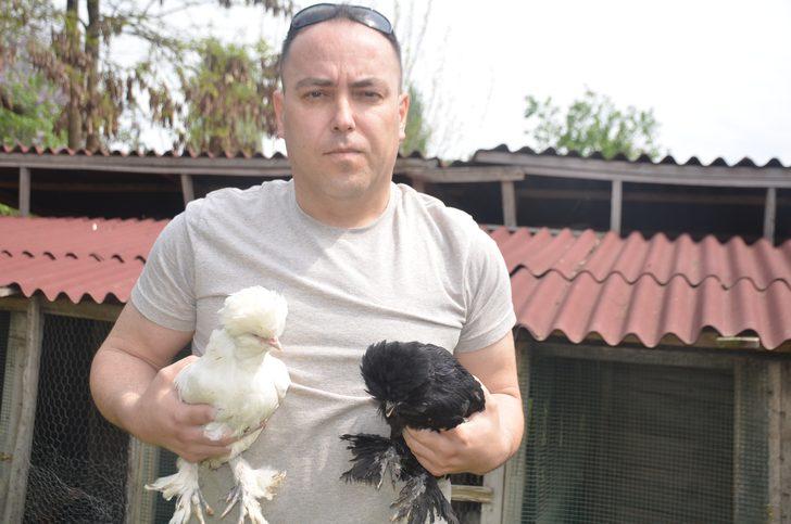 Tavukların sultanı Türkiye tescili alacak G2