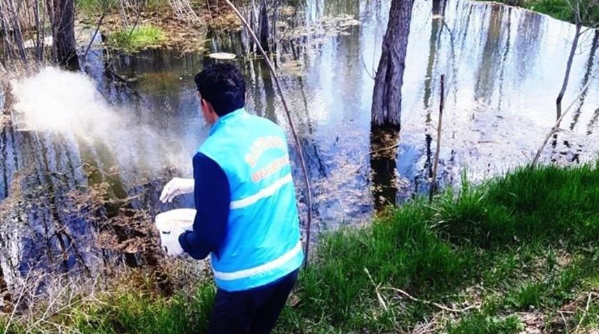 Bayburt’ta larvayla mücadele devam ediyor