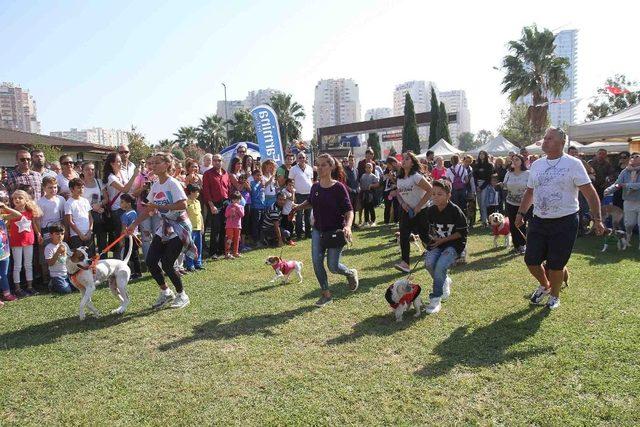 Tay Park’ta şenlik var