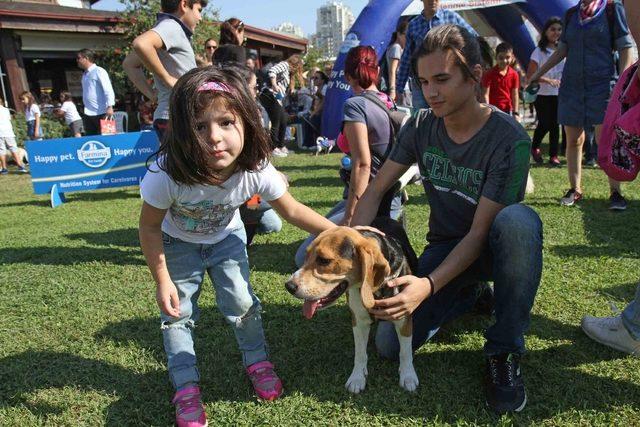 Tay Park’ta şenlik var