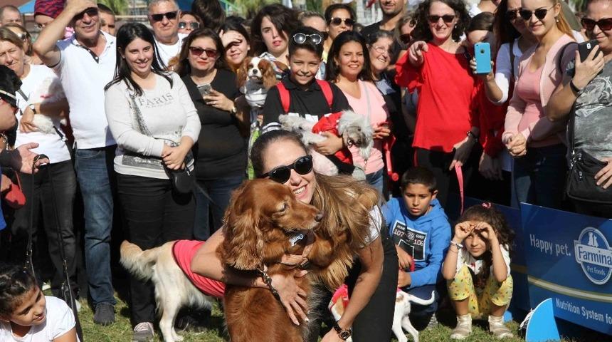 Tay Park&rsquo;ta şenlik var