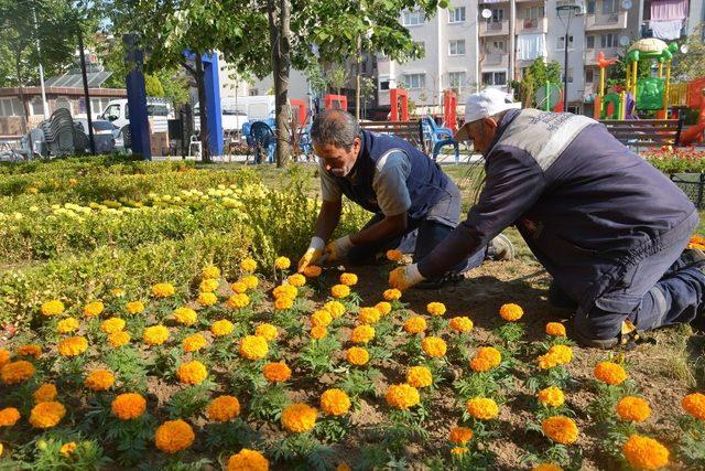 Şehzadeler 157 bin çiçekle renkleniyor