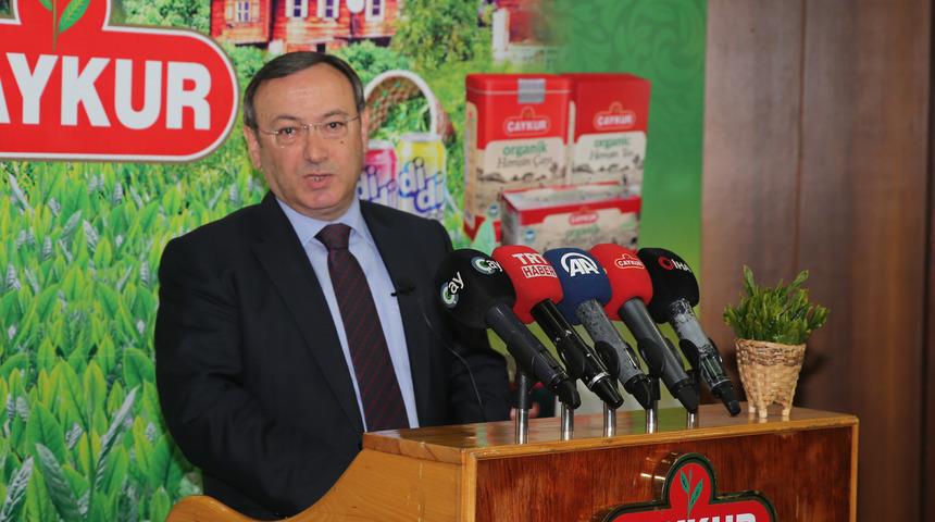 Çay tarımında hasat dönemi yarın başlıyor
