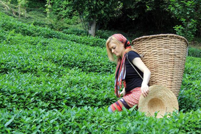 Çay üreticisinin gübre sıkıntısı