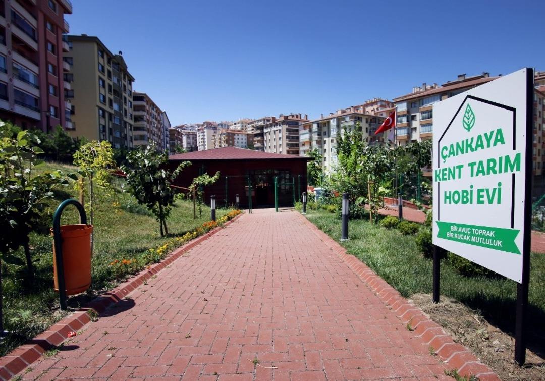 Kent Tarım&rsquo;da &uuml;cretsiz sebze yetiştiriciliği eğitimi