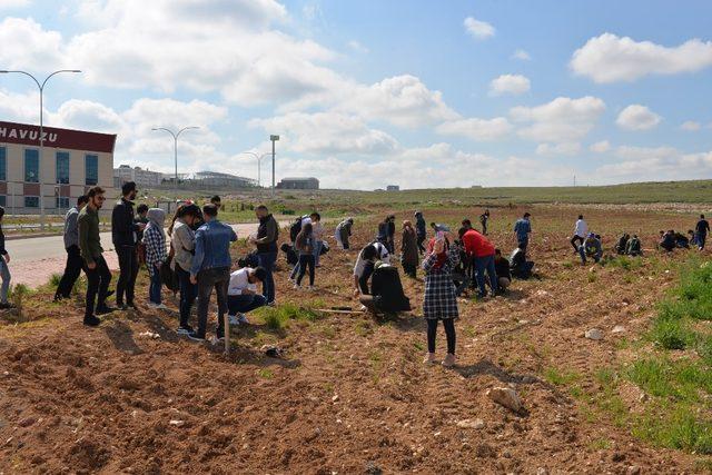 Karaman’da yabancı uyruklu öğrenciler fidan dikti