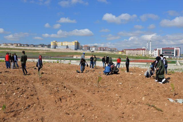 Karaman’da yabancı uyruklu öğrenciler fidan dikti