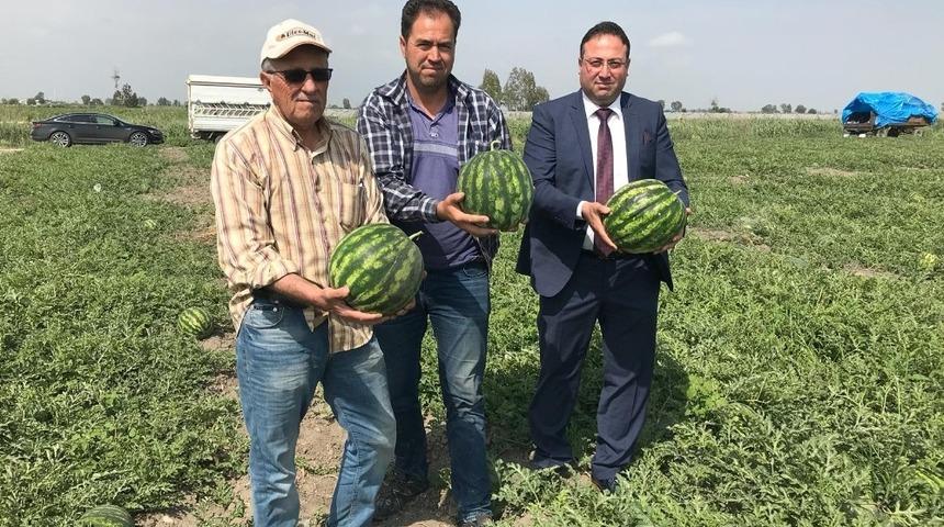 Karpuzun d&ouml;n&uuml;m&uuml; 6 bin 500 TL