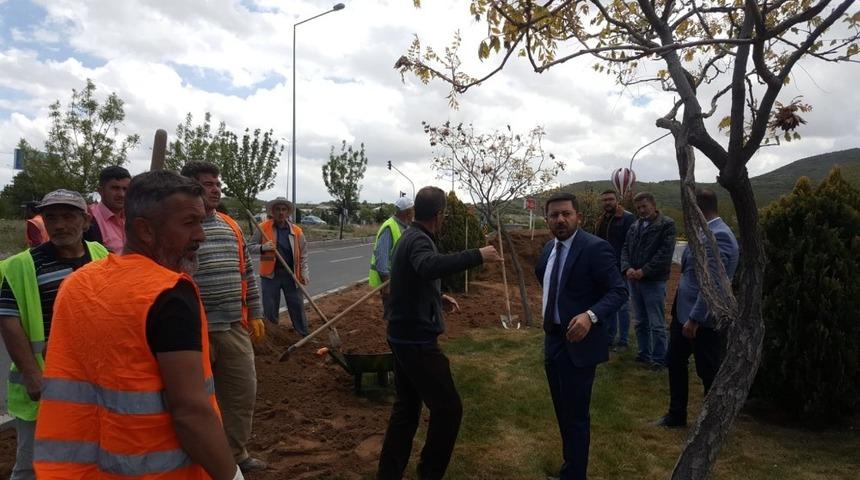 Belediye Başkanı Arı, &ccedil;alışma alanlarında incelemelerde bulundu