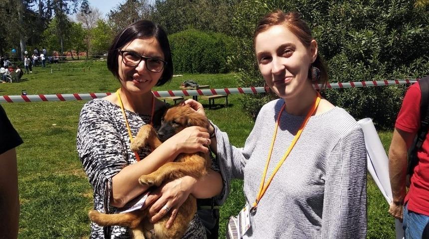 Adana&rsquo;da Erasmus &ouml;ğrencileri sokak hayvanlarını besledi, barınakları ziyaret etti