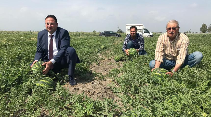  Karpuzun dönümü 6 bin 500 TL
