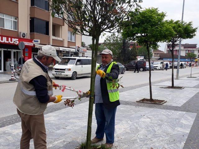 Yeşil Düzce sokaklarında yansıyacak