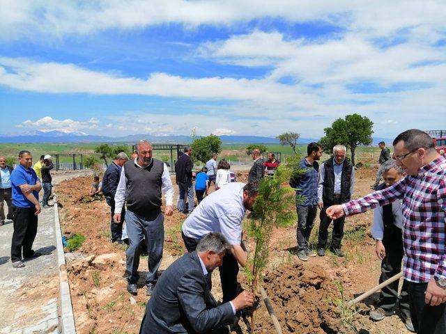 Kahta’da 800 Ağaç Toprakla Buluşturuldu