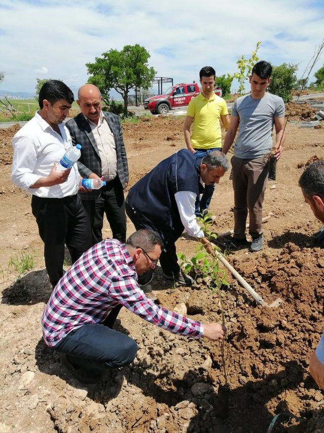 Kahta’da 800 Ağaç Toprakla Buluşturuldu