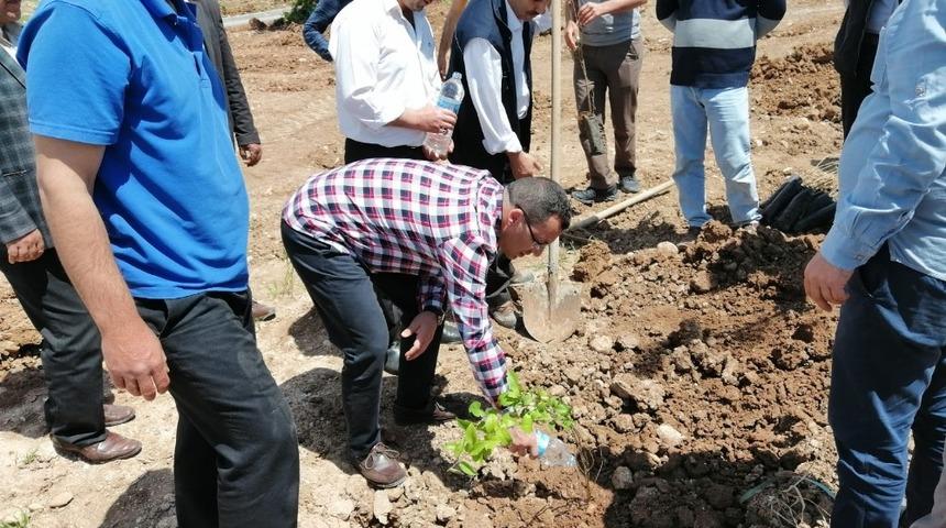 Kahta&rsquo;da 800 Ağa&ccedil; Toprakla Buluşturuldu