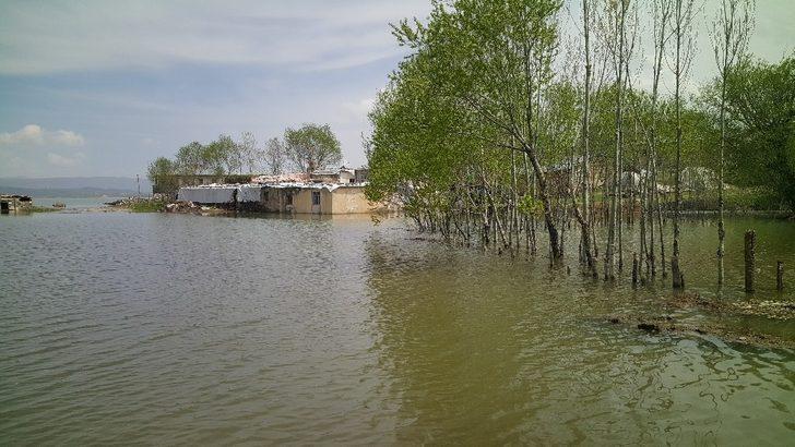 Alpaslan-1 Barajı taştı, köyler sular altında kaldı G5