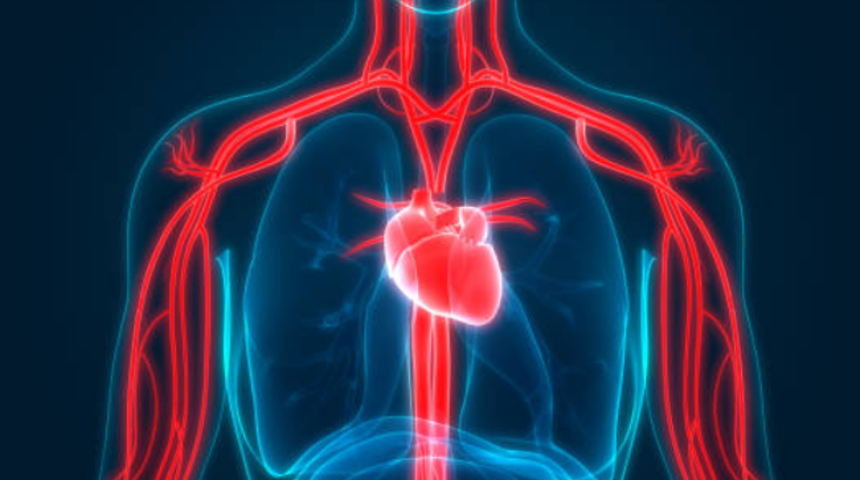 Şah damarı t&uuml;m&ouml;r&uuml; g&ouml;r&uuml;ld&uuml;ğ&uuml;nde mutlaka &ccedil;ıkarılmalı
