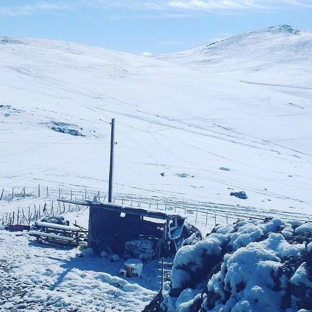 Ordu’nun yaylalarına kar yağdı/ek fotoğraflar