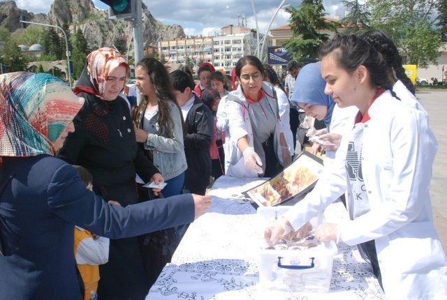 Kırmızı ışıkta glütensiz kurabiye