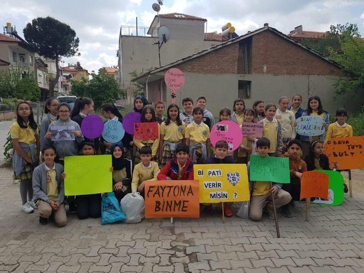 ’Bir pati de sen tut’ diyerek sokak hayvanlarına umut oldular G3