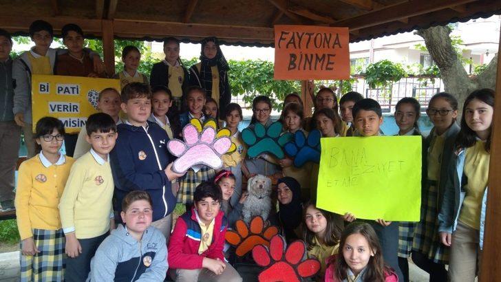 ’Bir pati de sen tut’ diyerek sokak hayvanlarına umut oldular G4