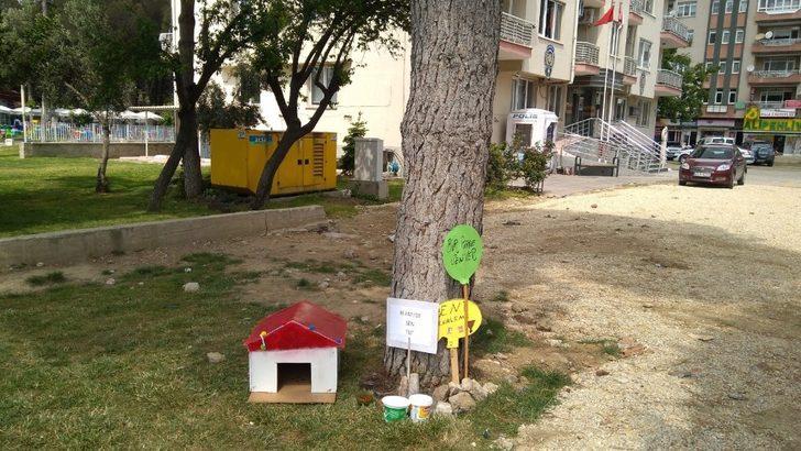 ’Bir pati de sen tut’ diyerek sokak hayvanlarına umut oldular G5