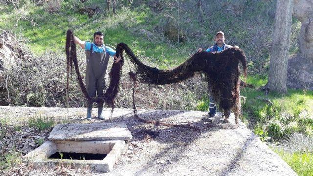 Sudaki basınç azalınca ortaya çıktı