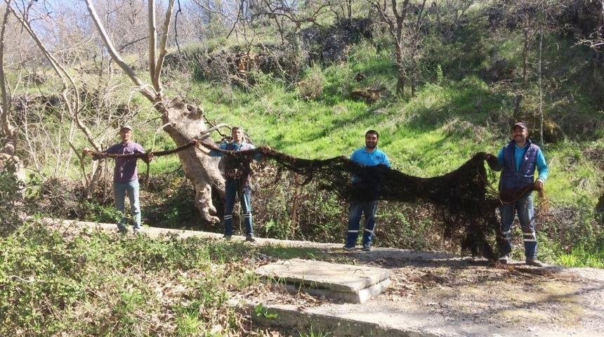 Sudaki basın&ccedil; azalınca ortaya &ccedil;ıktı