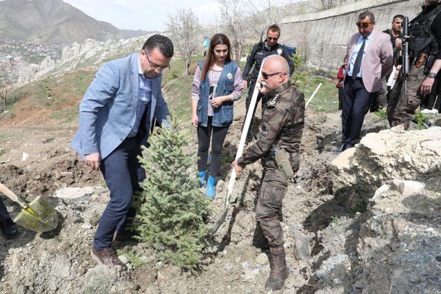 Hakkari'de hükümlüler fidan dikti