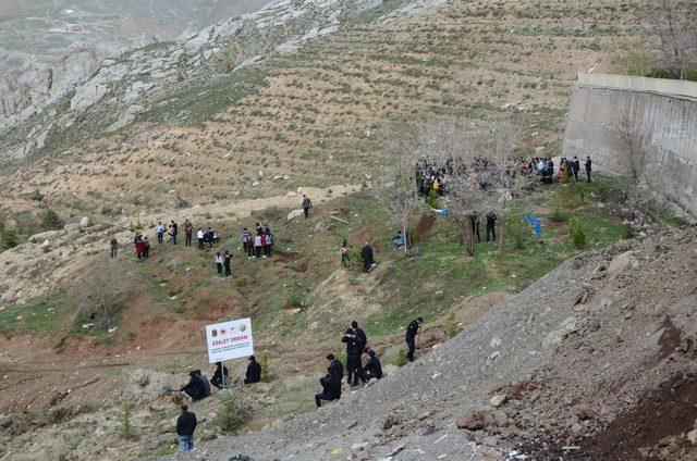 Hakkari'de hükümlüler fidan dikti