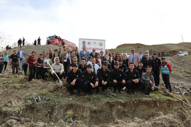 Hakkari'de hükümlüler fidan dikti