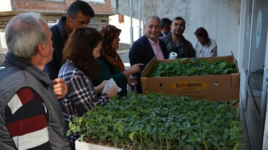 Kabadüz’de çiftçilere 4 bin sebze fidesi