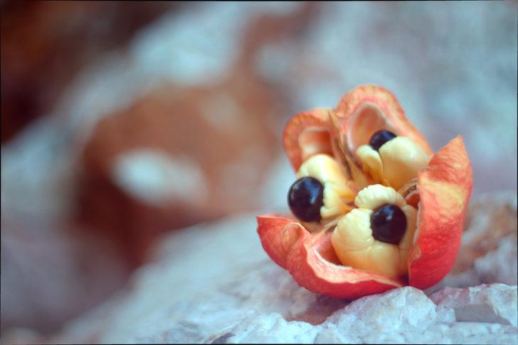 Bu 8 yiyecek ABD'de yasa dışı edildi G5