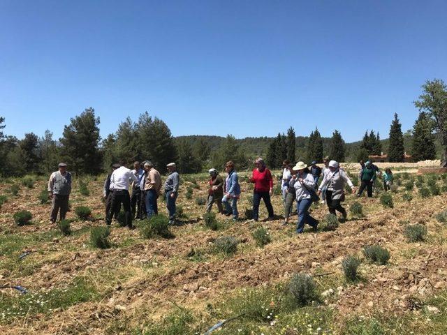 Akçaovalı vatandaşlar Koku Vadisi projesini inceledi