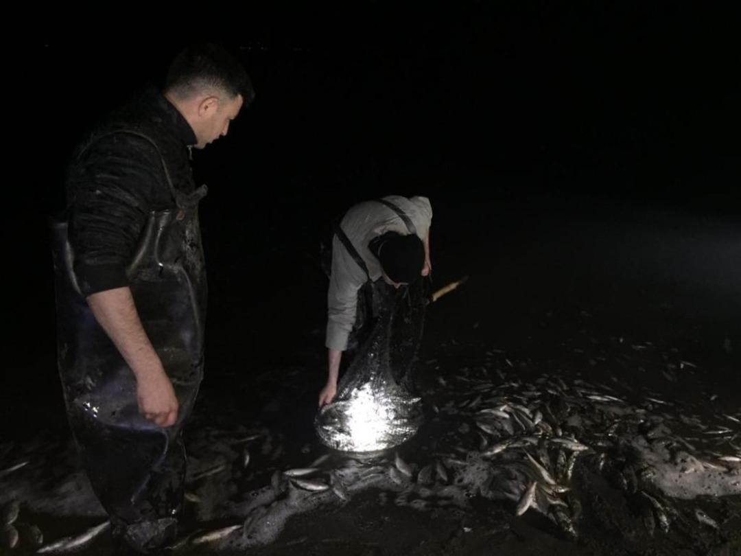 Van&rsquo;da balık operasyonu